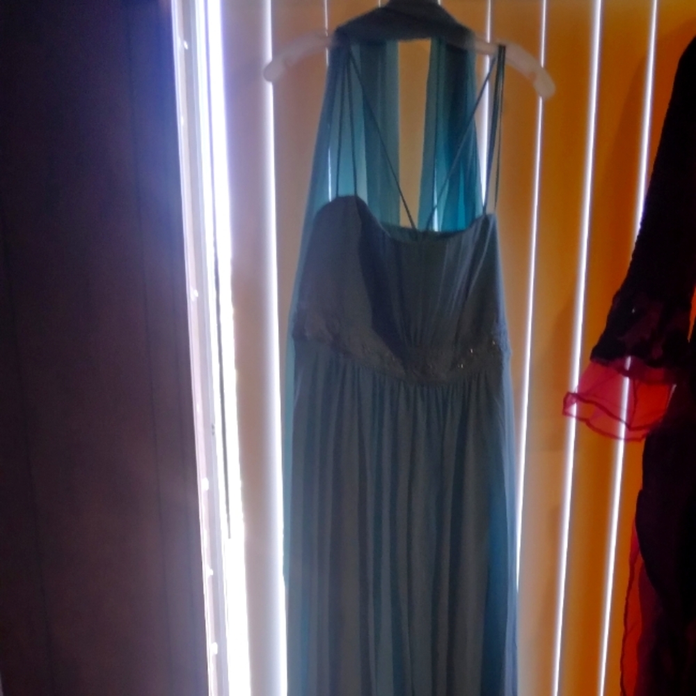 It was a braidsmaid dress, I never got to the wedding.